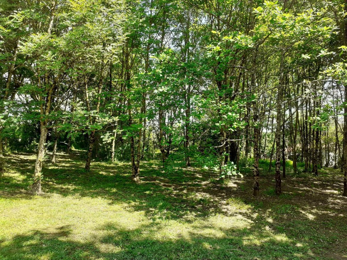La villa Le Petit Bois, près Rocamadour, Padirac Lavergne  Extérieur photo